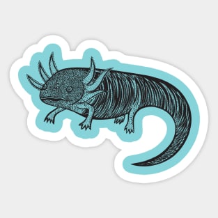 Axolotl - hand drawn detailed animal design Sticker